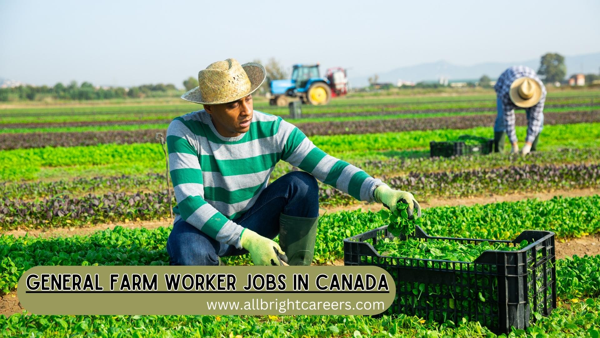 General Farm Worker Jobs in Canada