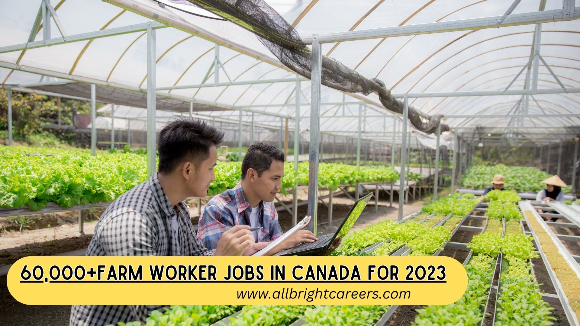 60,000+Farm Worker Jobs in Canada for 2023