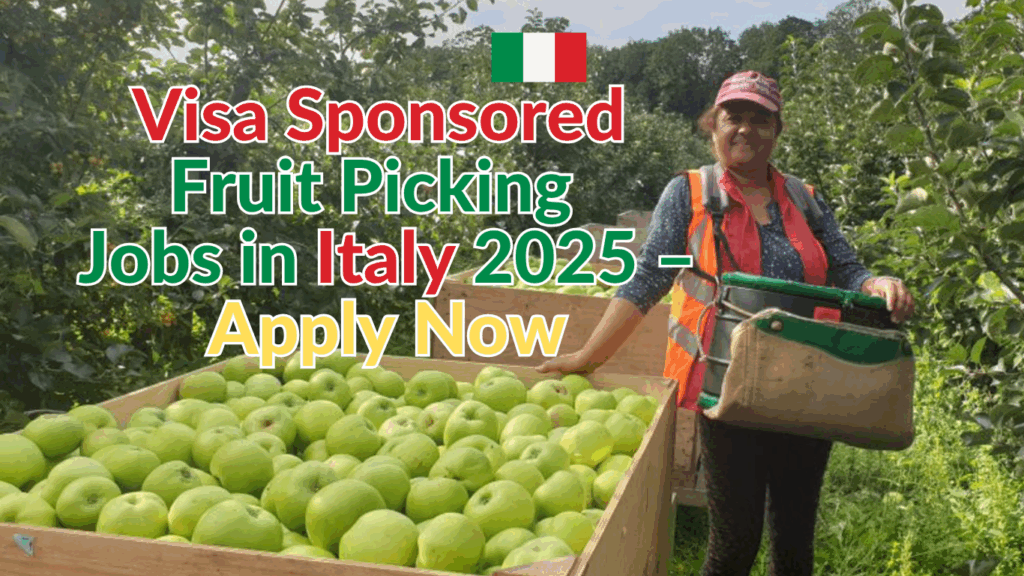 Visa Sponsored Fruit Picking and Packing Jobs in Italy 2025 – Apply Now