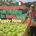 Visa Sponsored Fruit Picking and Packing Jobs in Italy 2025 – Apply Now