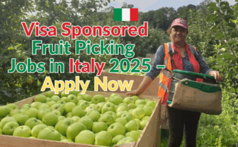 Visa Sponsored Fruit Picking and Packing Jobs in Italy 2025 – Apply Now
