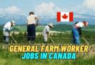 General Farm Worker Jobs In Canada