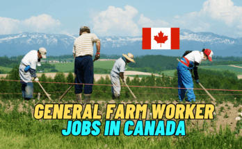 General Farm Worker Jobs In Canada