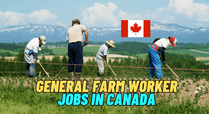 General Farm Worker Jobs In Canada