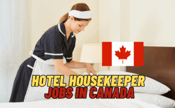 hotel housekeeper Jobs In Canada