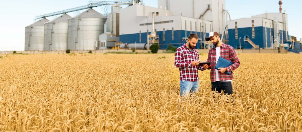 Farm Worker Jobs in Riyadh, Saudi Arabia (2026)